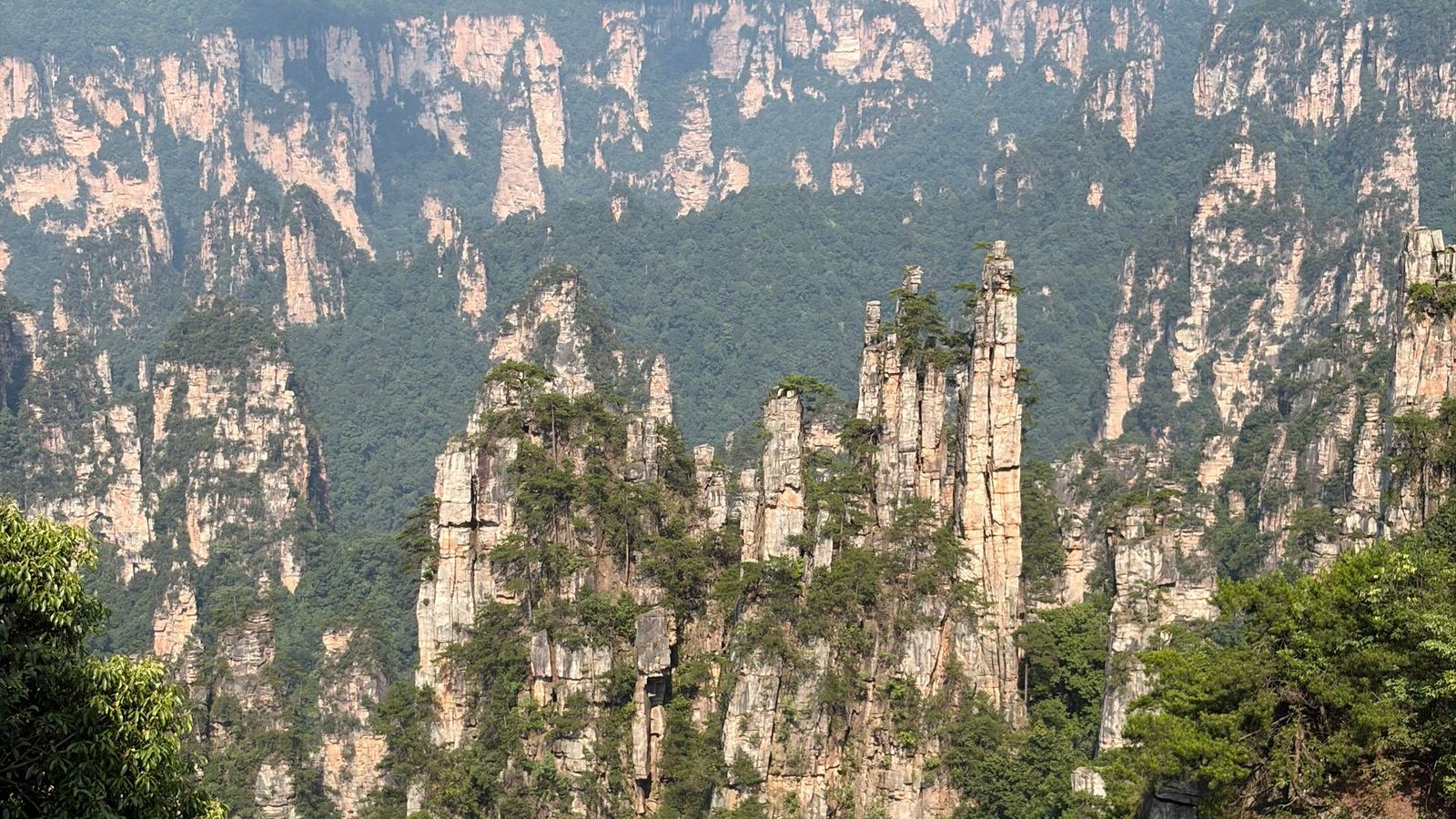 Sandstone pillars in Zhangjiajie